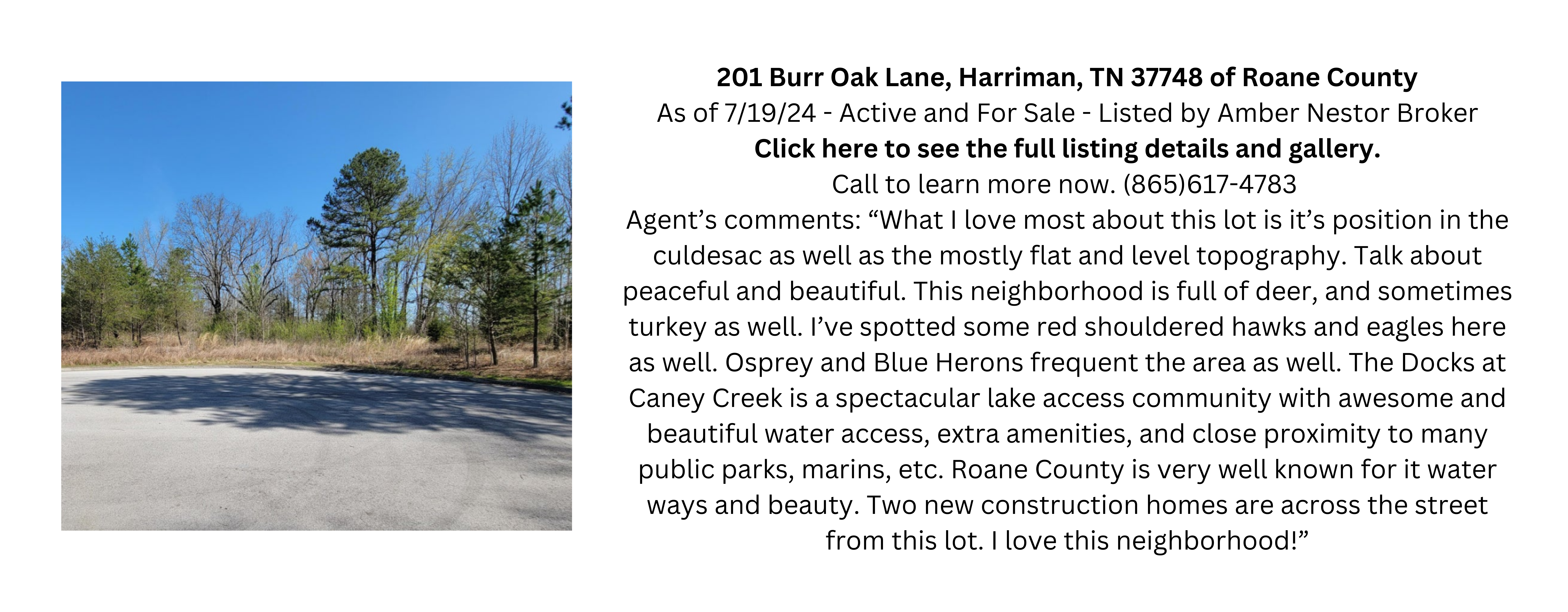 real estate agent near me Amber Nestor REALTOR Kingston Rockwood Harriman Ten Mile Loudon Tennessee Roane County TN 865-617-4783 Trillium Cascade LLC