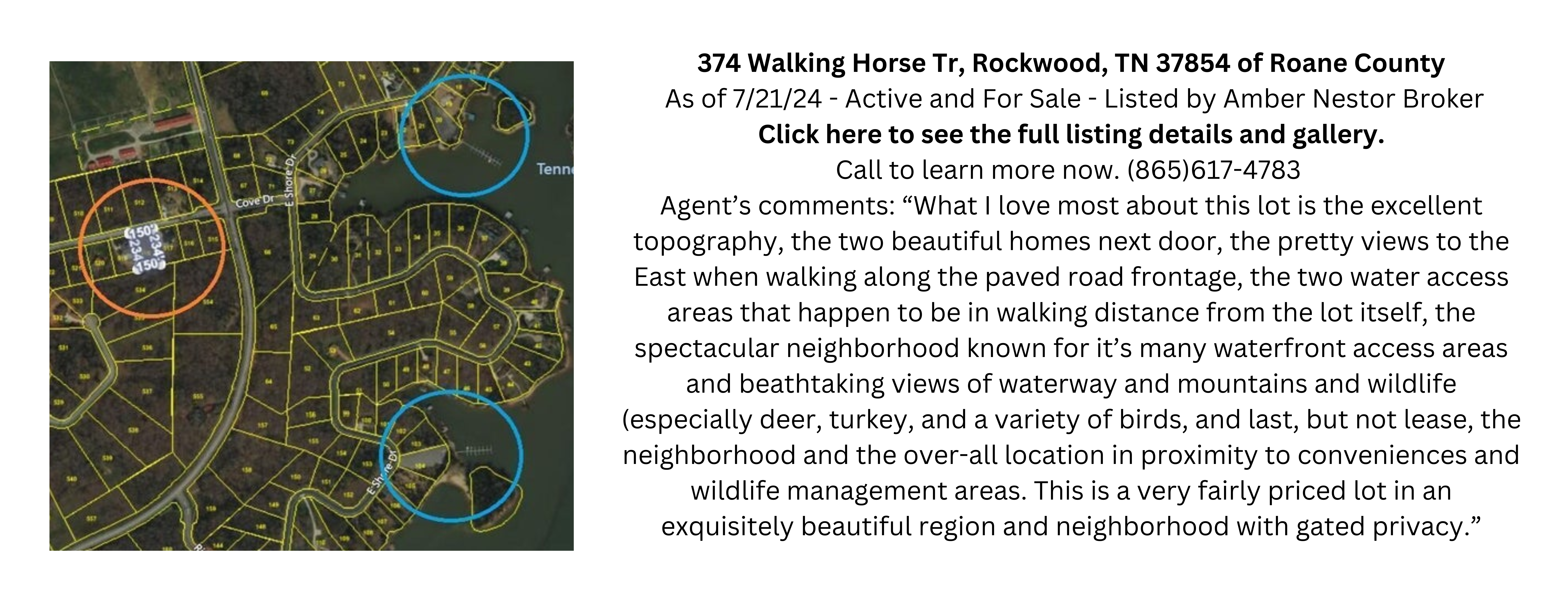 7-21-24-374-Walking-Horse-Tr-Rockwood-TN-37854-Roane-County-Amber-Nestor-Real-Estate-Agent-Land real estate agent near me Amber Nestor REALTOR Kingston Rockwood Harriman Ten Mile Loudon Tennessee Roane County TN 865-617-4783 Trillium Cascade LLC